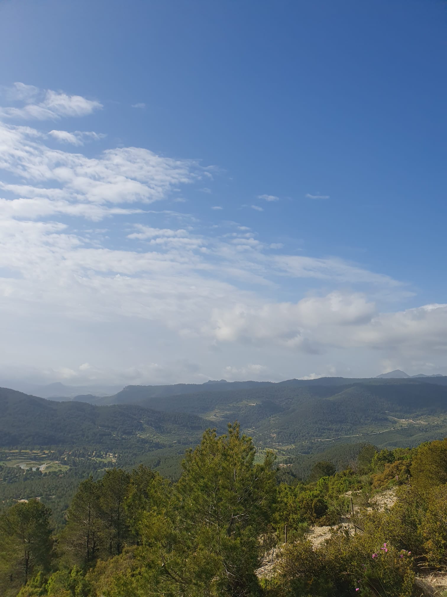 RUTA CIRCULAR DESDE EL CAMPELLO.